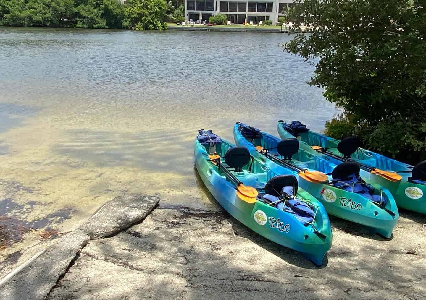 Guided-Kayak-Eco-Tour