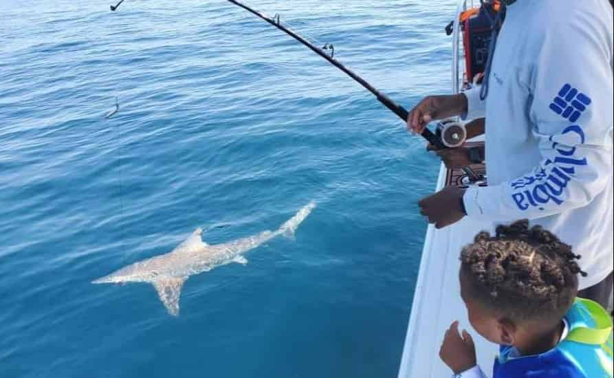 Destin-Shark-Fishing-Adventure