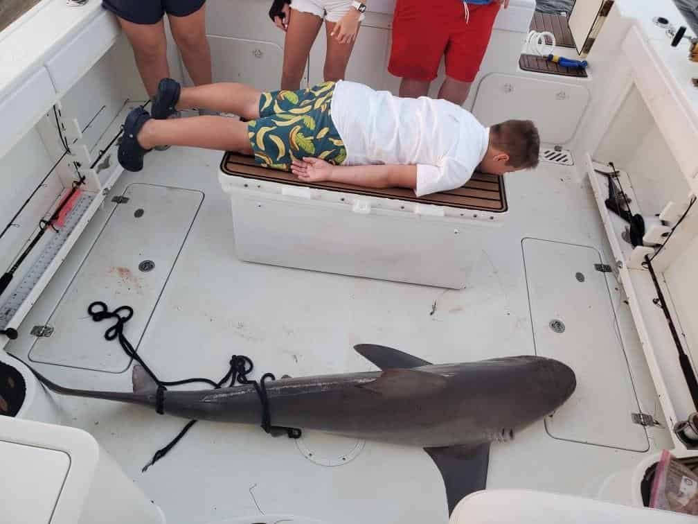 Shark Fishing on the Beach for 3 to 5 Footers - Tailored Tackle