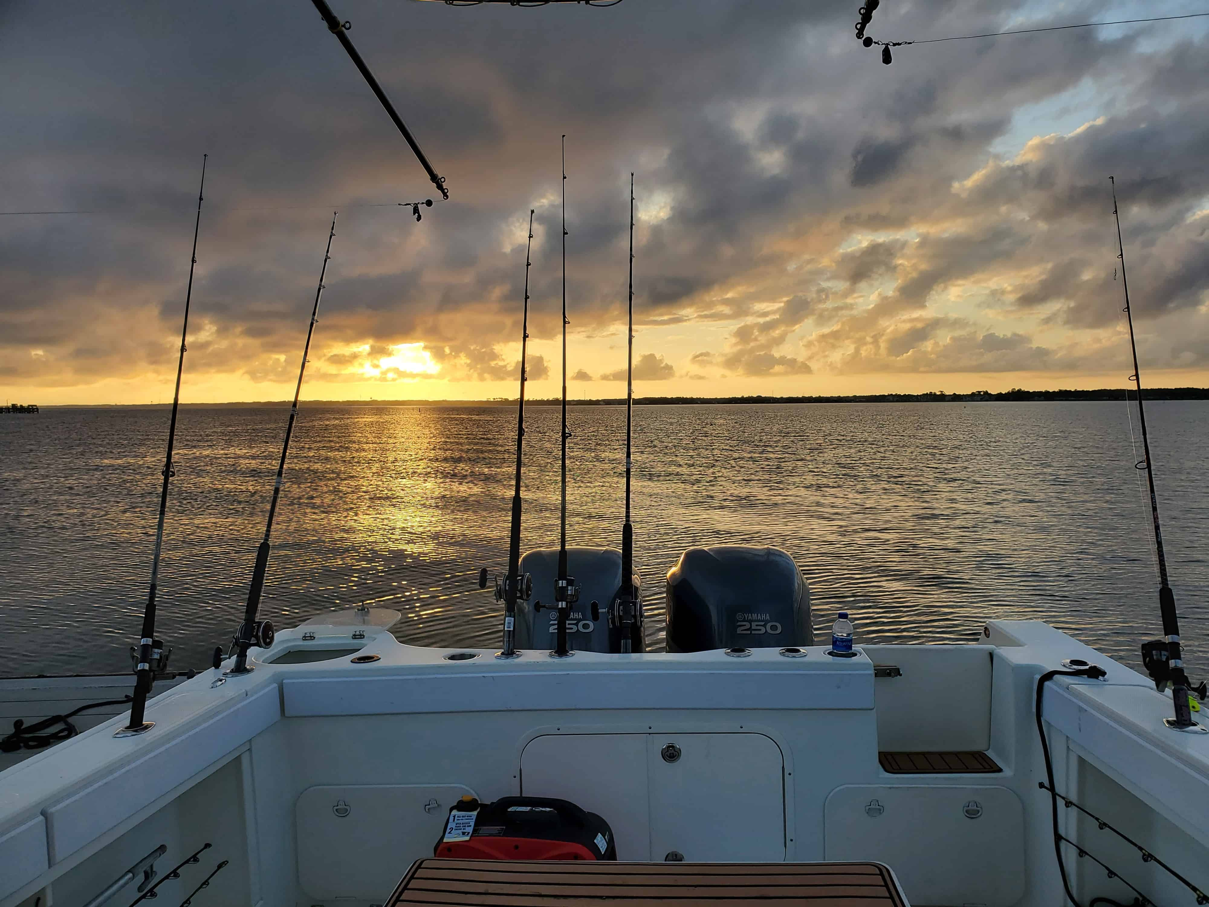 Destin-Shark-Fishing-Adventure