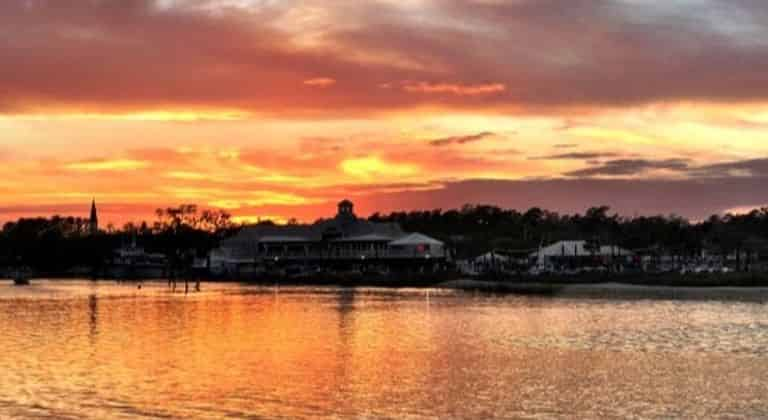 Dolphin Cruise Murrells Inlet Sc