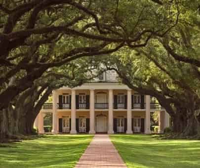 Oak-Alley-Plantation-and-Swamp-Tour-with-Transportation-from-the-French-Quarter