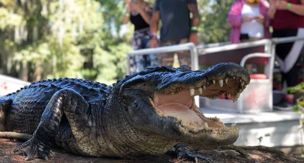 New-Orleans-Small-Airboat-Adventure