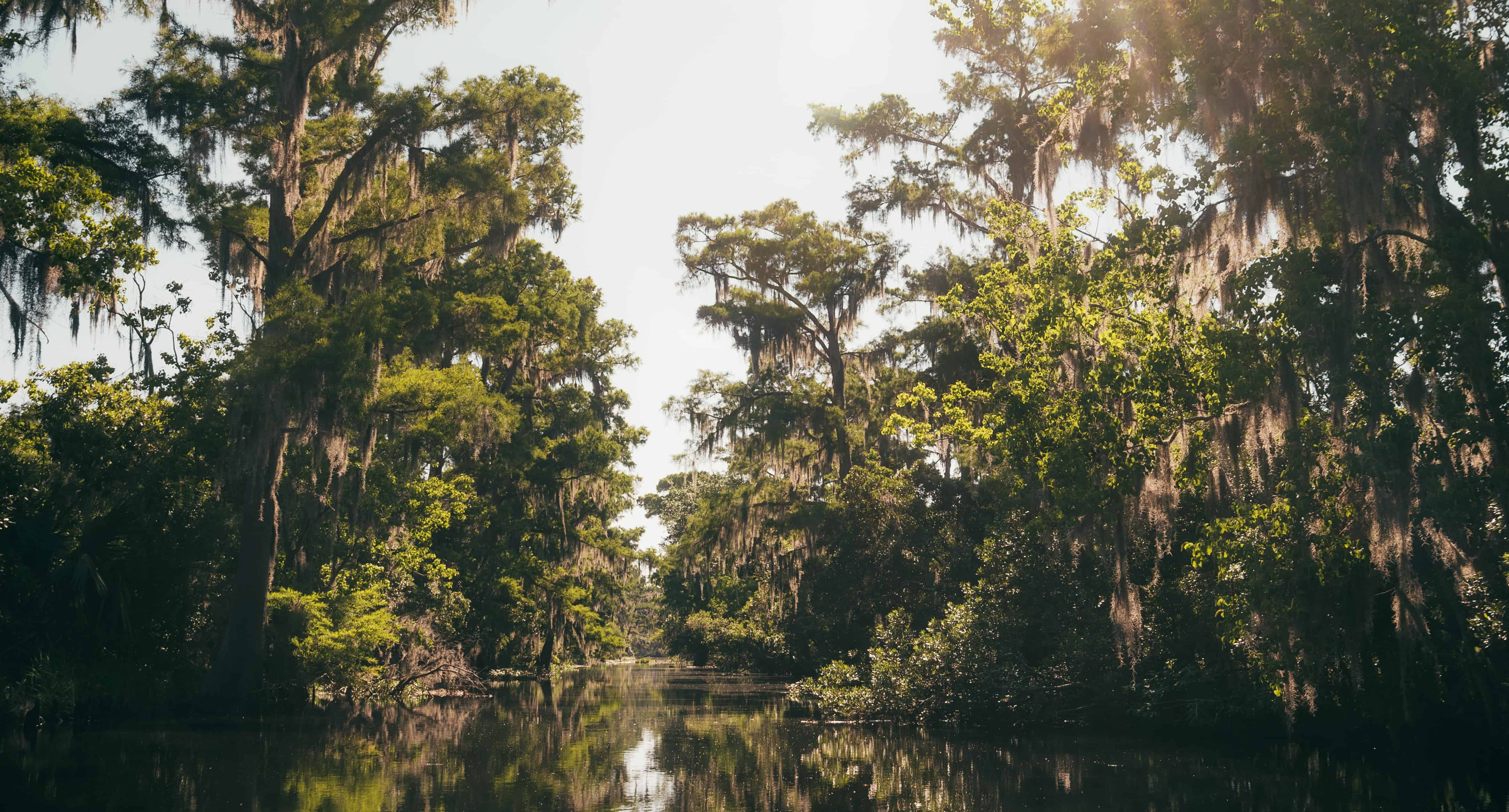 New-Orleans-Small-Airboat-Adventure