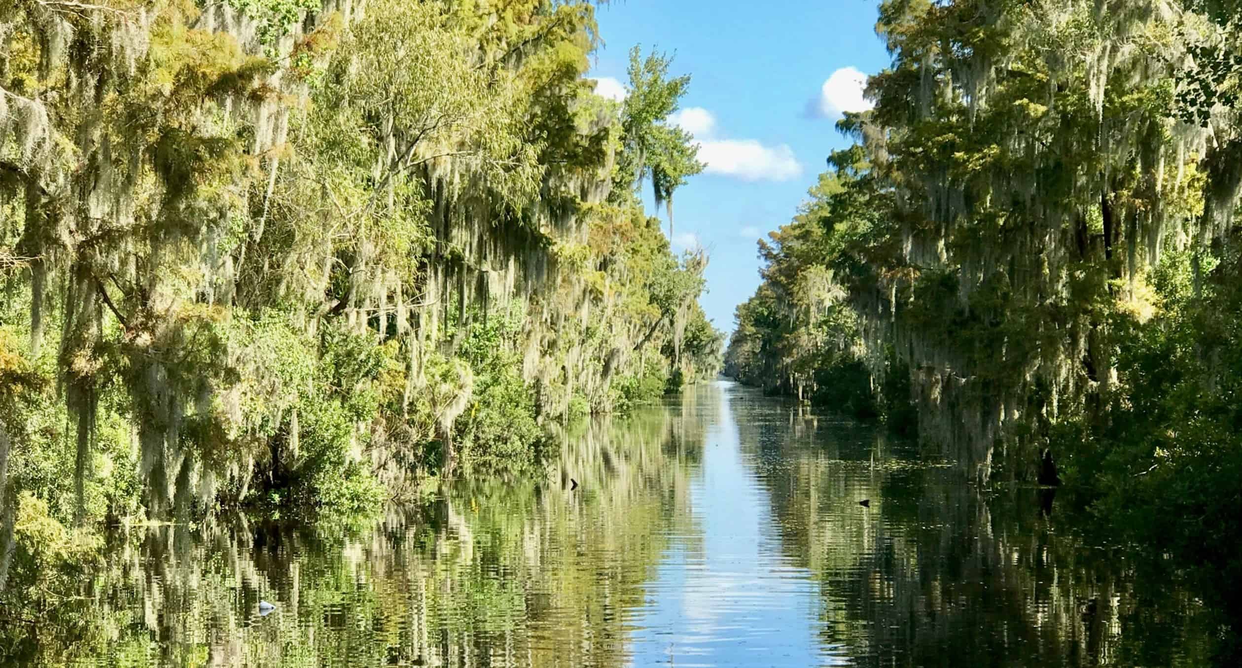 New-Orleans-Small-Airboat-Adventure