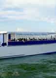 Pensacola Beach Dolphin Cruise