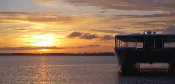 Pensacola Beach Dolphin Cruise