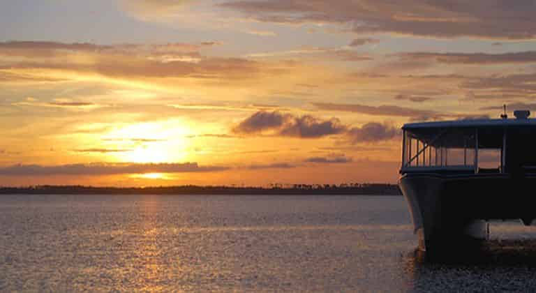 pensacola beach fl dolphin cruise