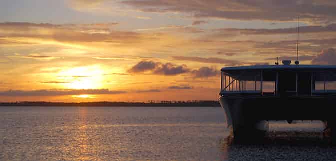 Pensacola-Beach-Dolphin-Cruise