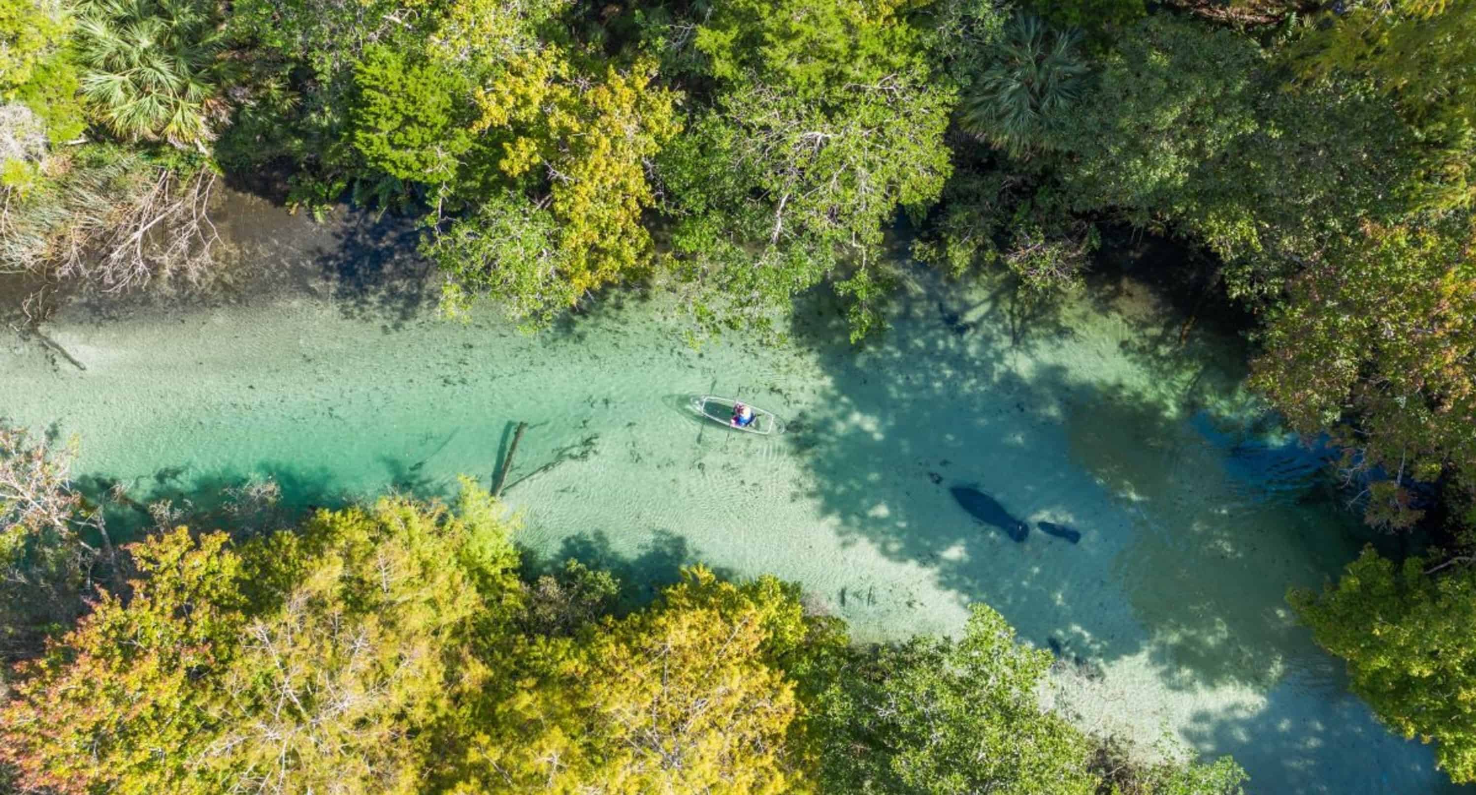 Clear-Kayak-Eco-Tour-on-the-Weeki-Wachee-River