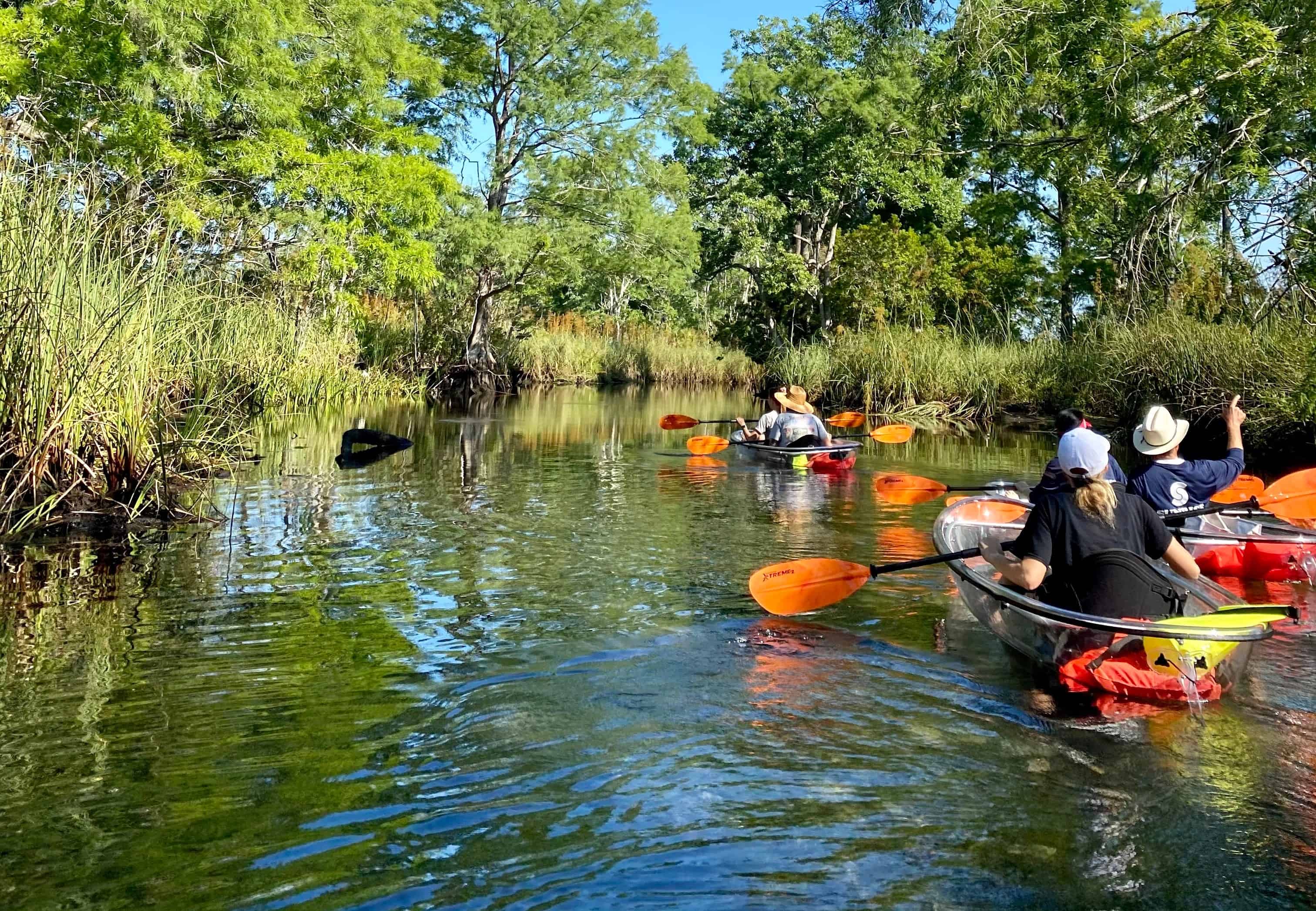 Clear-Kayak-Eco-Tour-on-the-Weeki-Wachee-River