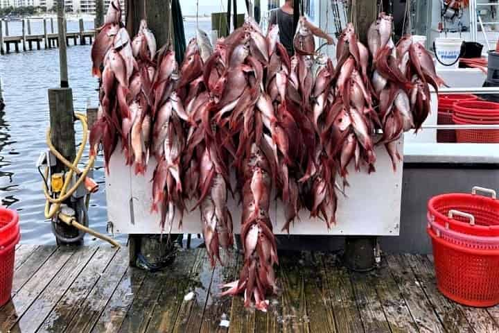 Deep-Sea-Fishing-Party-Boat-in-Destin