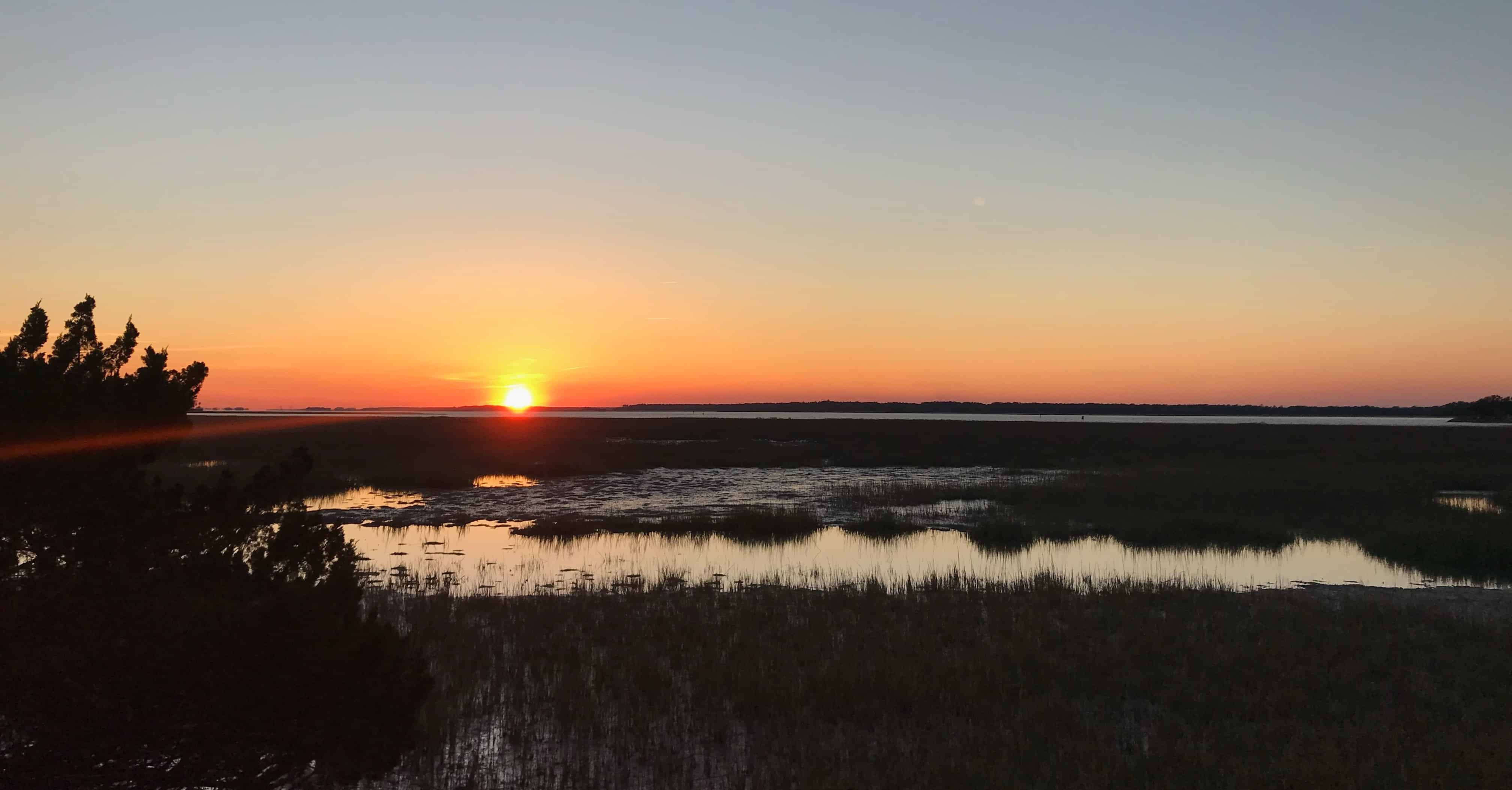 Hilton-Head-Island-Dolphin-Tour