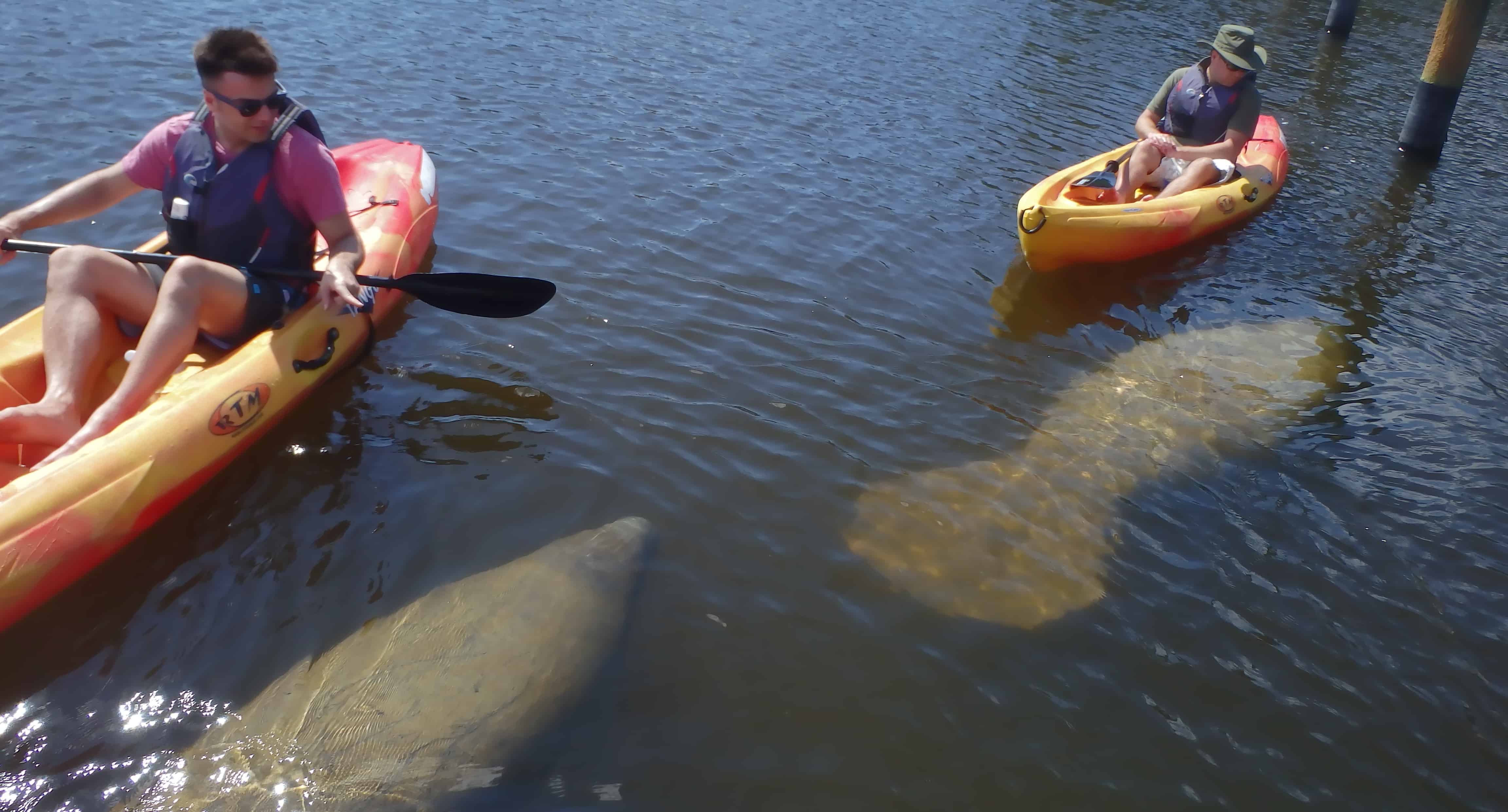 All-Day-Fort-Myers-Beach-Kayak-or-SUP-Rental