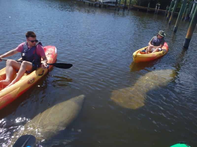 Half-Day-Fort-Myers-Beach-Kayak-or-SUP-Rental