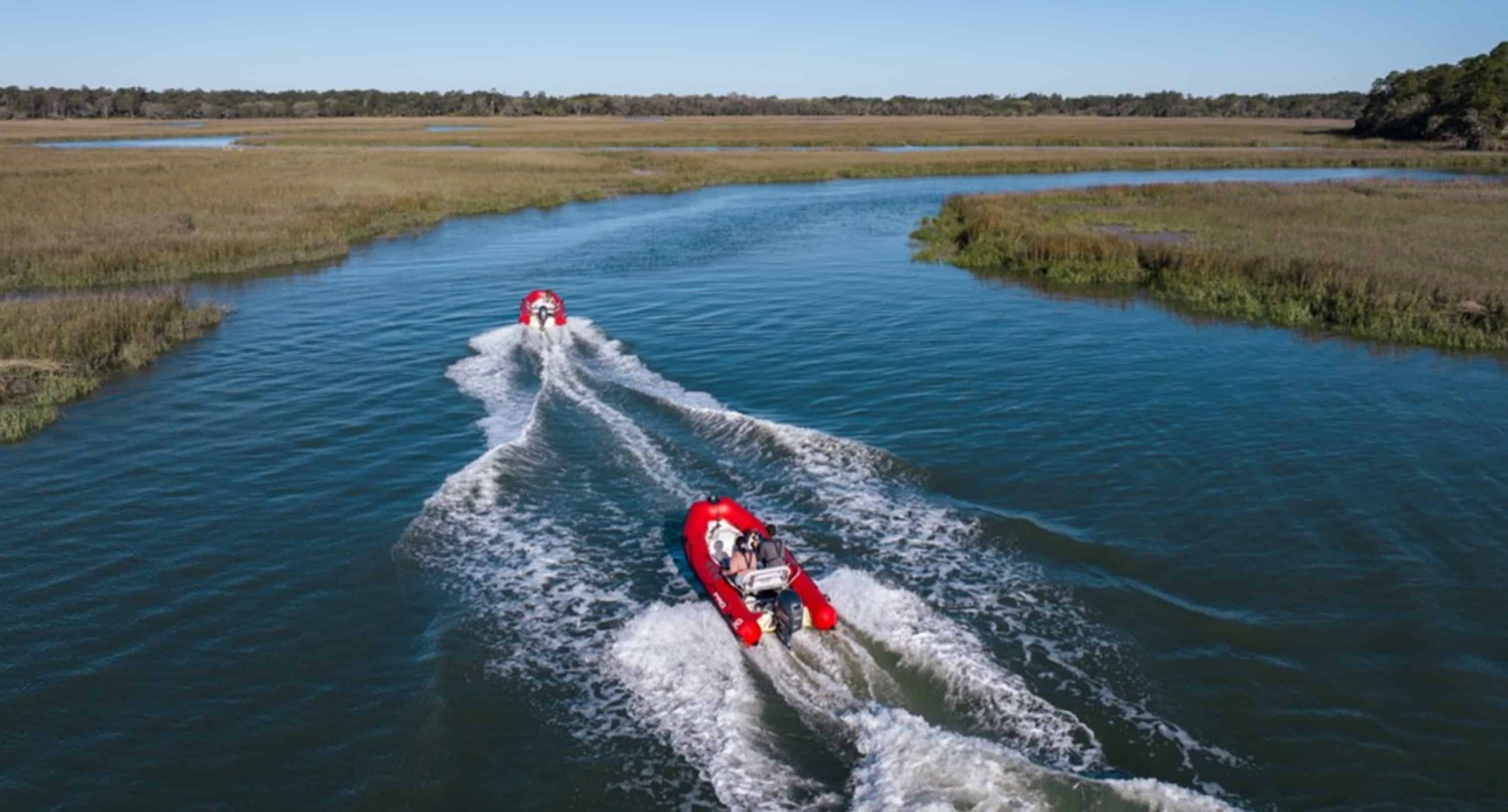 Guided-Mini-Boat-Dolphin-Tour