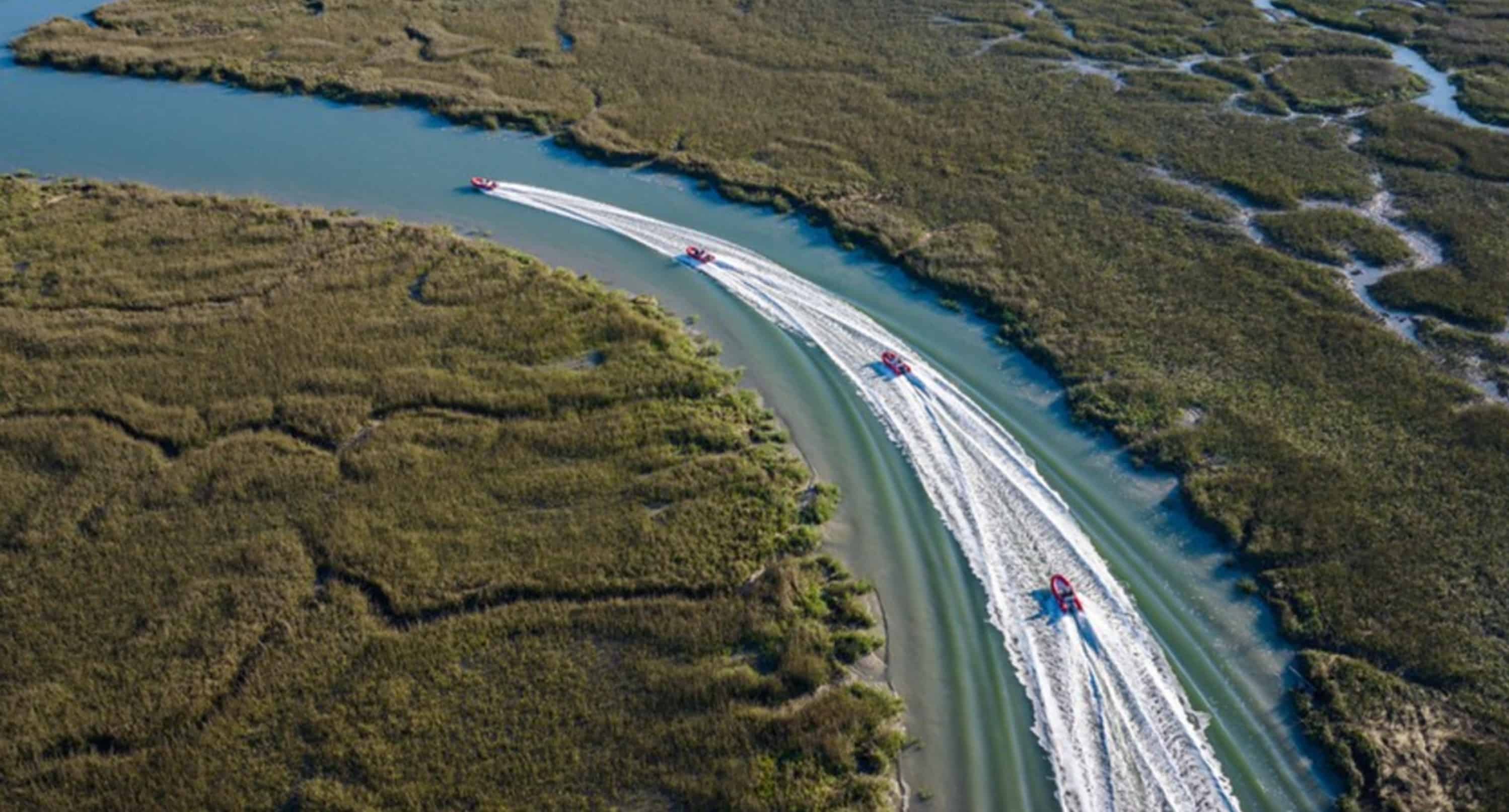 Guided-Mini-Boat-Dolphin-Tour