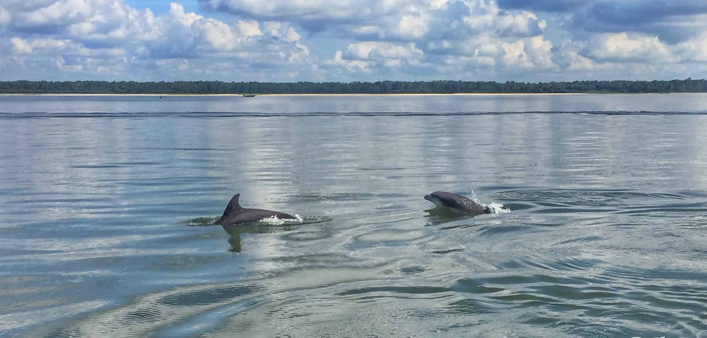 Hilton-Head-Jet-Ski-Experience