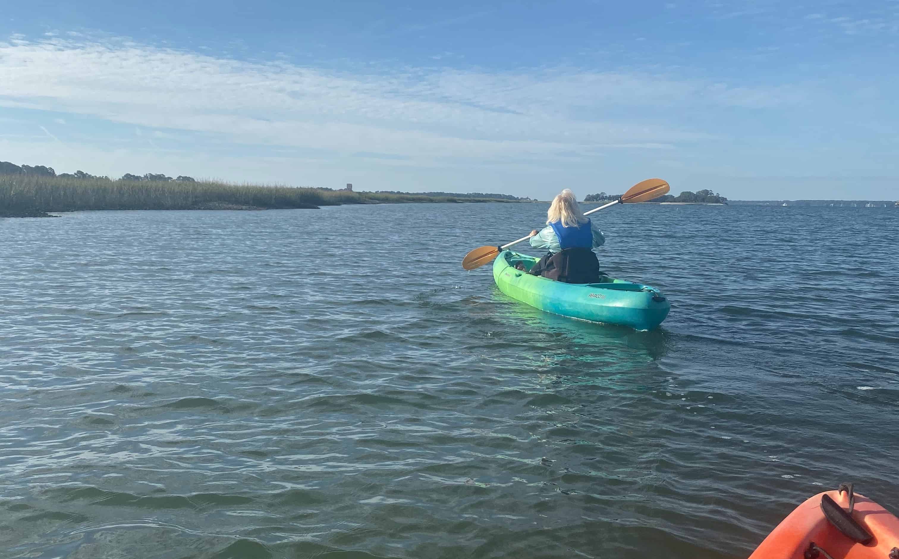 Hilton Head Guided Kayak Tour TripShock!