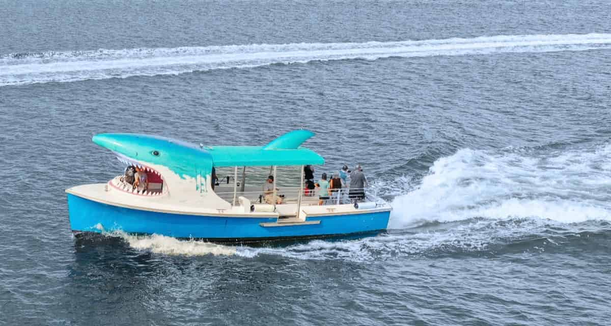 Shark-Boat-at-Johns-Pass-Dolphin-Adventure-Cruise
