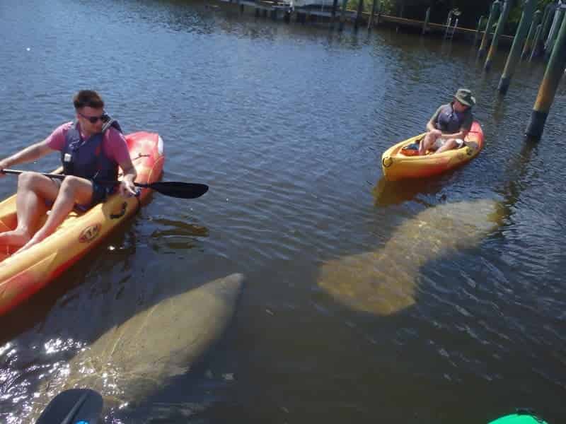 Fort-Myers-Beach-Guided-Paddle-Tour