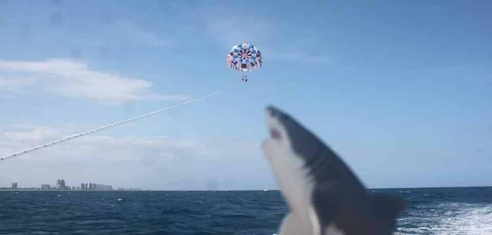 Bradenton-Beach-Parasailing