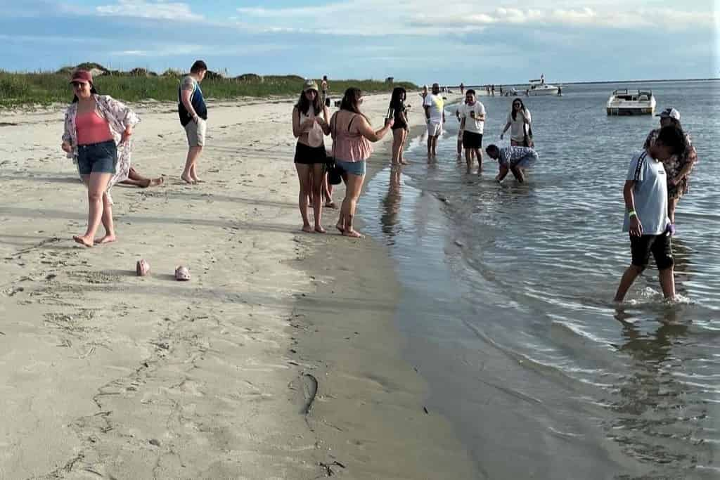 Island-Excursion-and-Dolphin-Watch