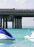 Destin Waverunner Dolphin Tour