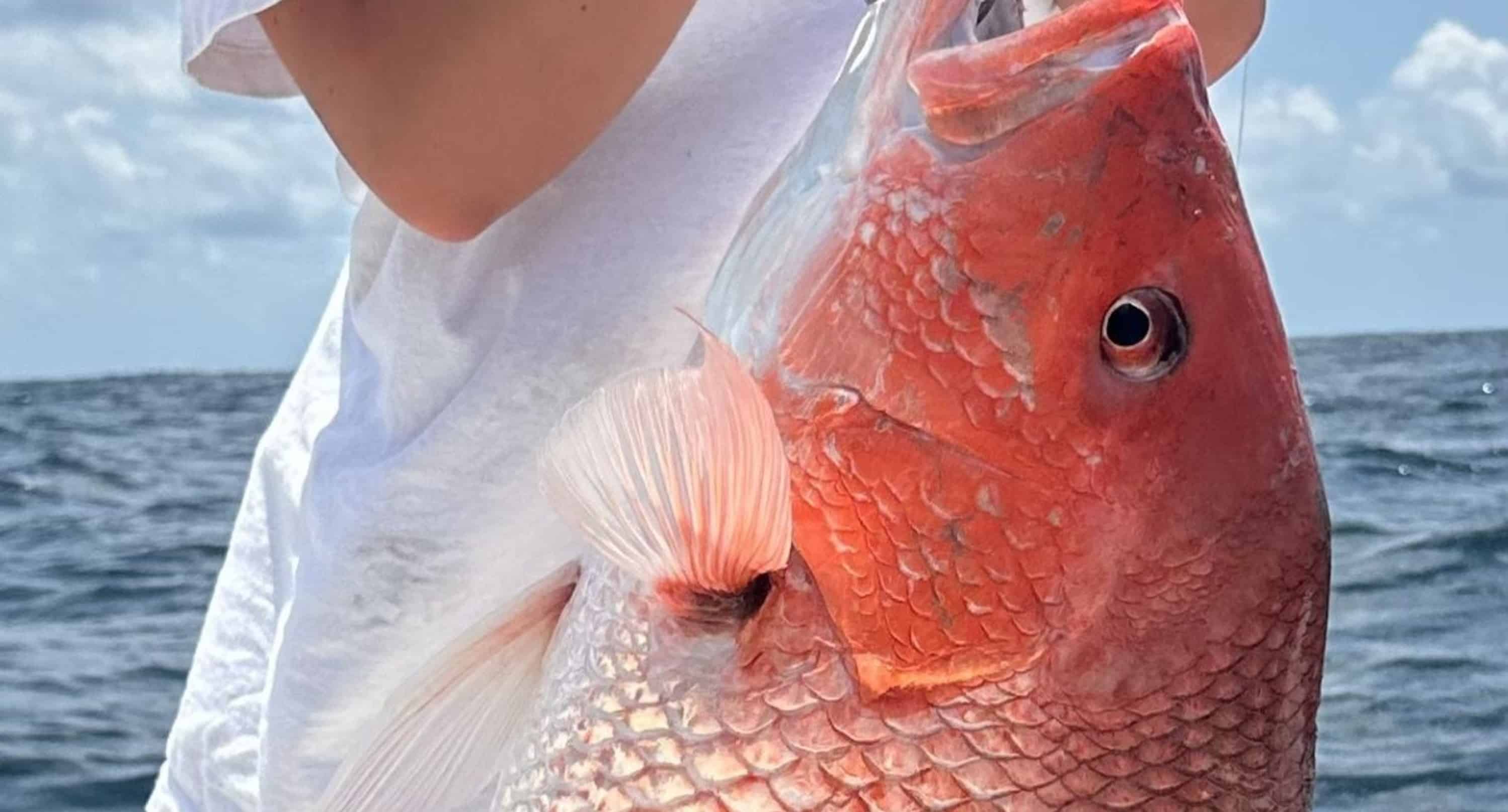 Destin-Fishing-Charter-on-the-Reel-Crazy