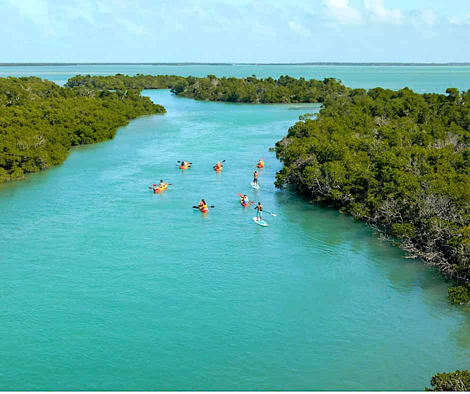 Half-Day-Key-West-Ultimate-Sandbar-Adventure-with-Mangrove-Kayak-Eco-Tour