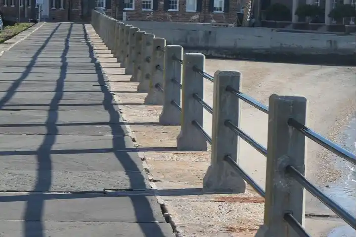 Charleston-Historic-City-Tour