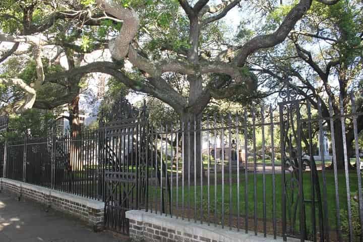Charleston-Historic-City-Bus-Tour-and-Mansion-Combo