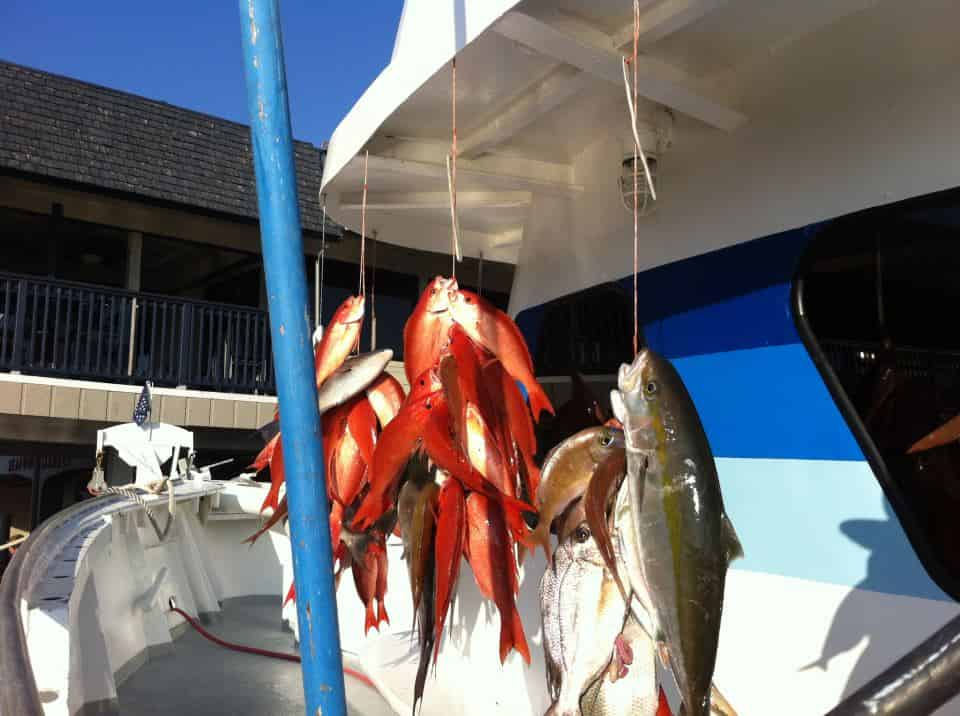 Addictive Fishing in Panama City Beach