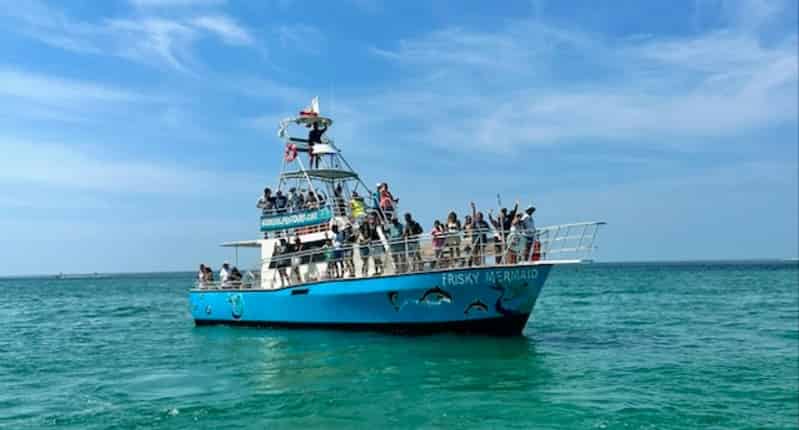 Scenic-Bay-Dolphin-Tour