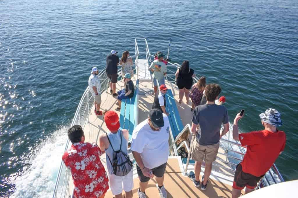 Offshore Fishing and Dolphin Cruise in Pensacola Beach, FL