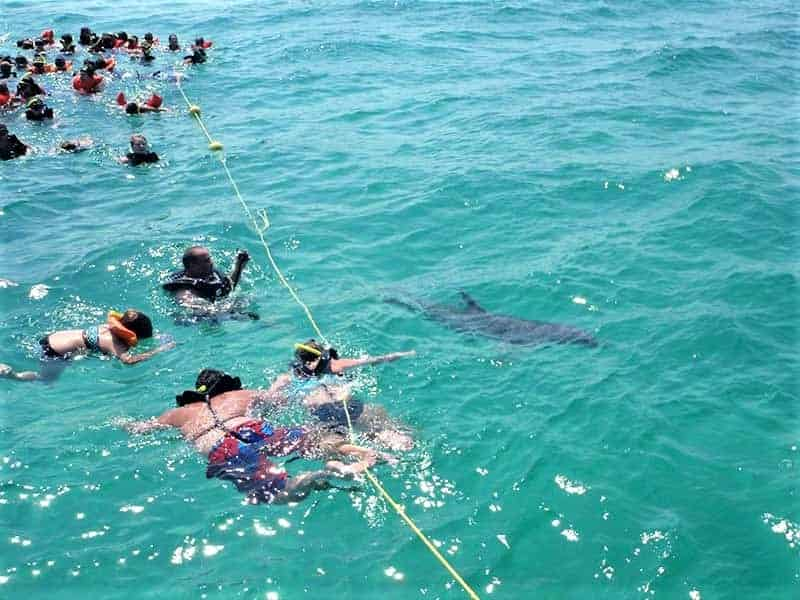 Shell-Island-Snorkel-and-Sail-on-the-Island-Time-II