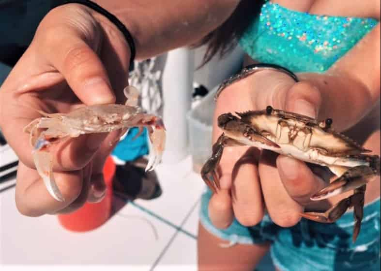 Shell-Island-Snorkel-and-Sail-on-the-Island-Time-II