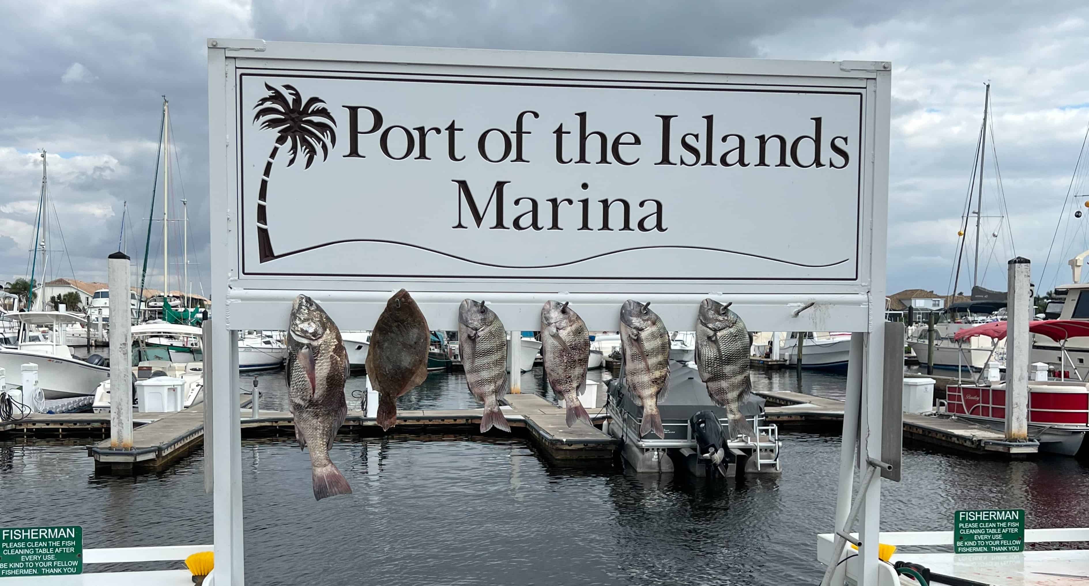 Manatee-Dolphin-and-10000-Islands-Eco-Boat-Tour