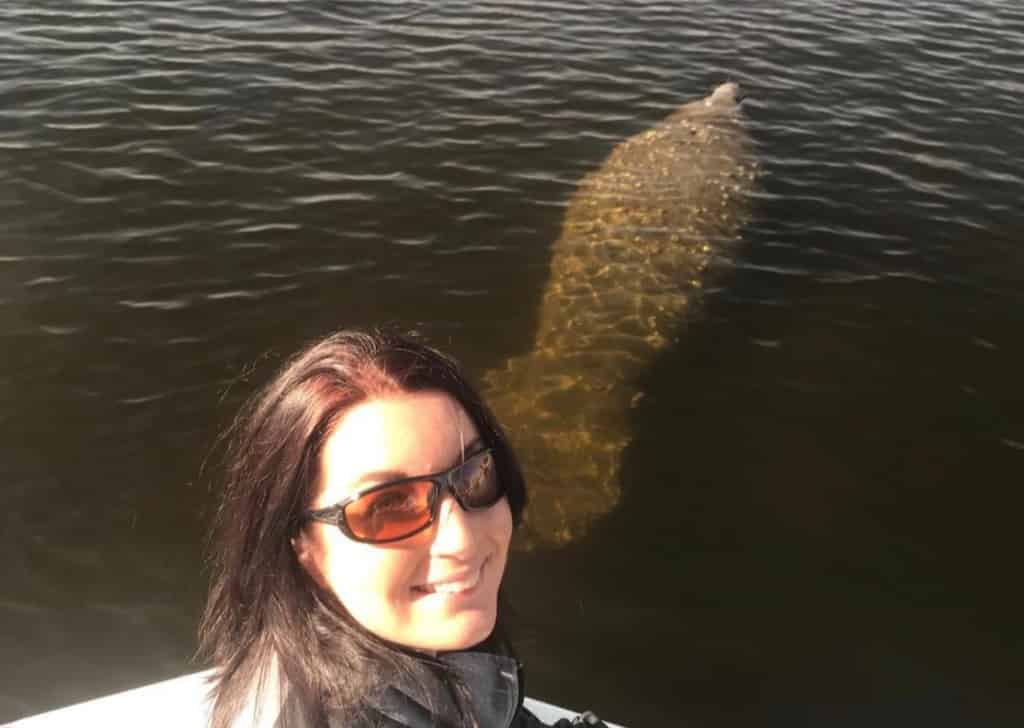 Manatee-Sightseeing-and-Wildlife-Boat-Tour