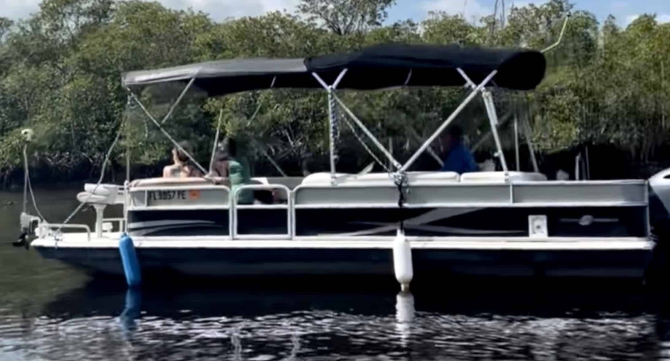 Manatee-Sightseeing-and-Wildlife-Boat-Tour