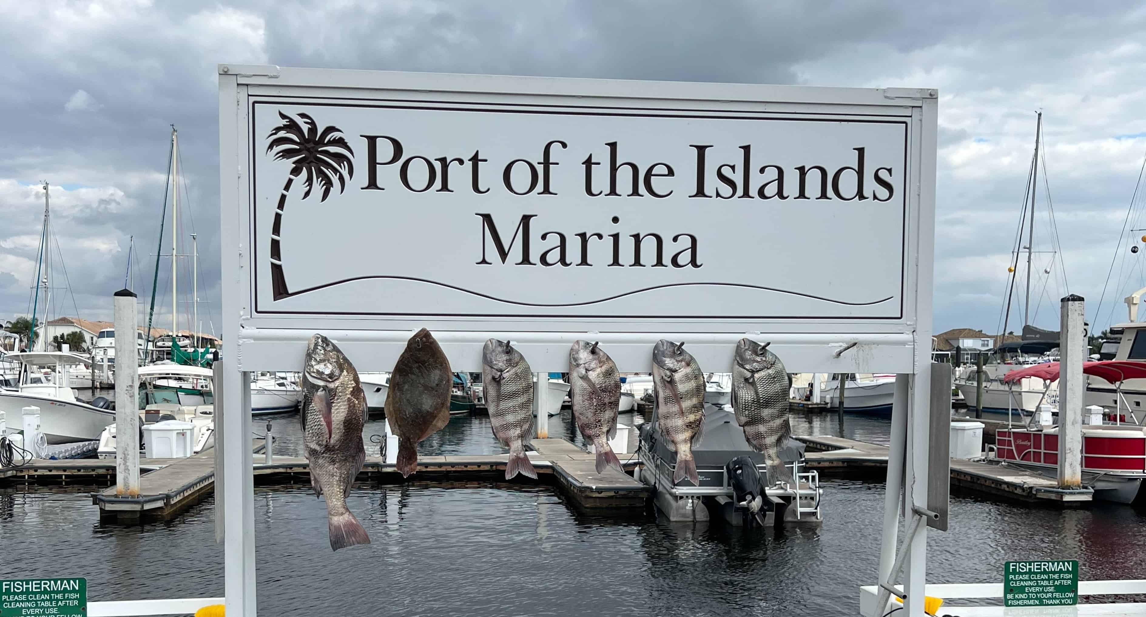 Manatee-Sightseeing-and-Wildlife-Boat-Tour