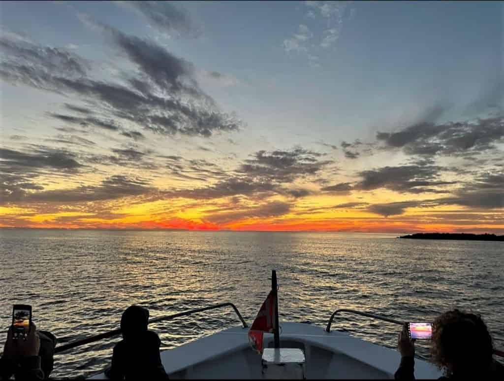 2-Hour-St-Andrew-Bay-Sunset-Dolphin-Tour