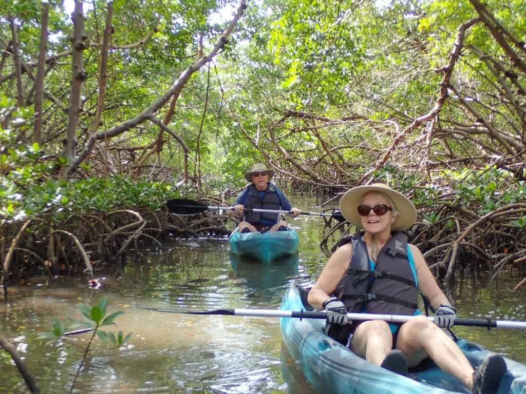 Island-Mangrove-Kayak-Tour