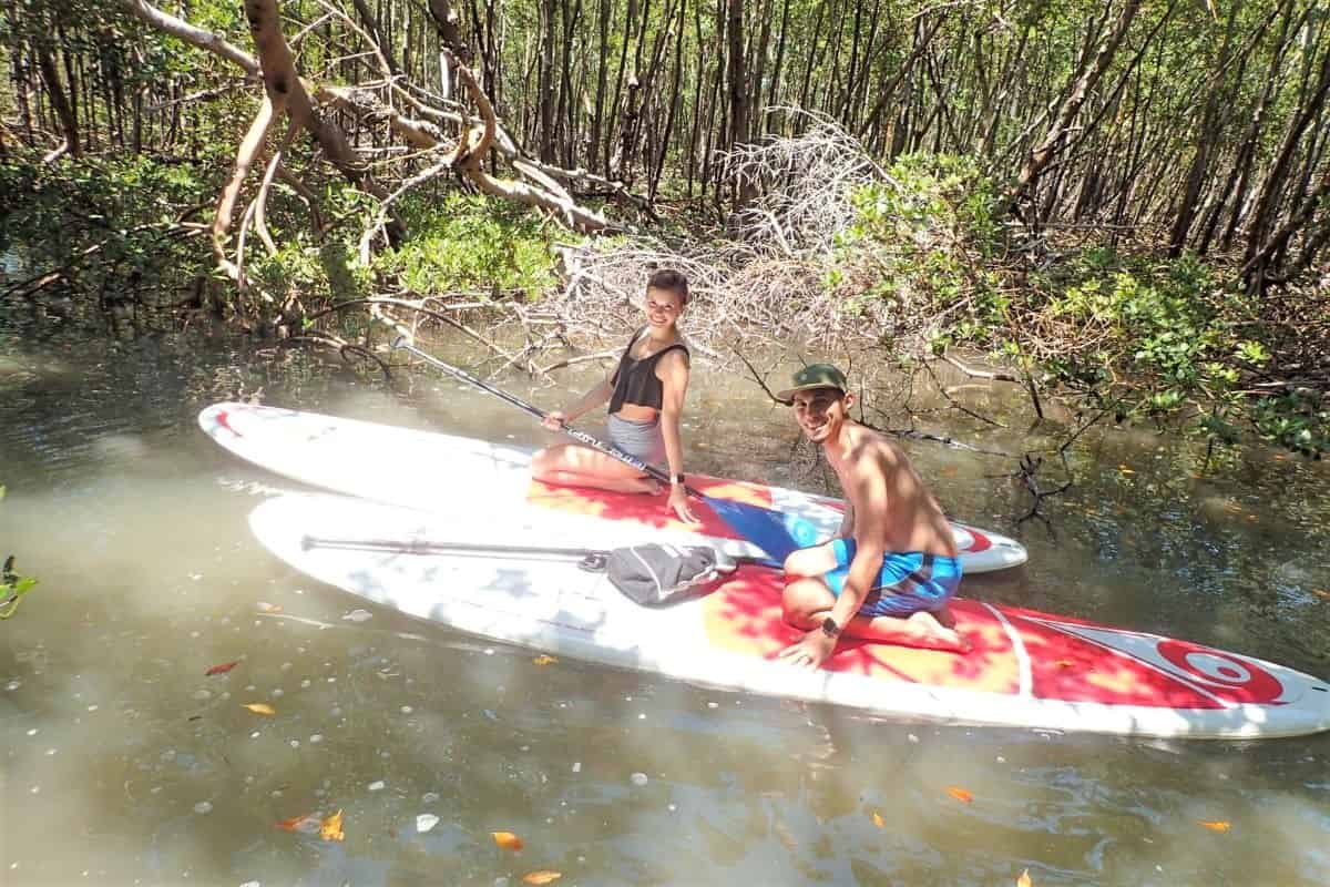 Island-Mangrove-Guided-Paddleboard-Eco-Tour