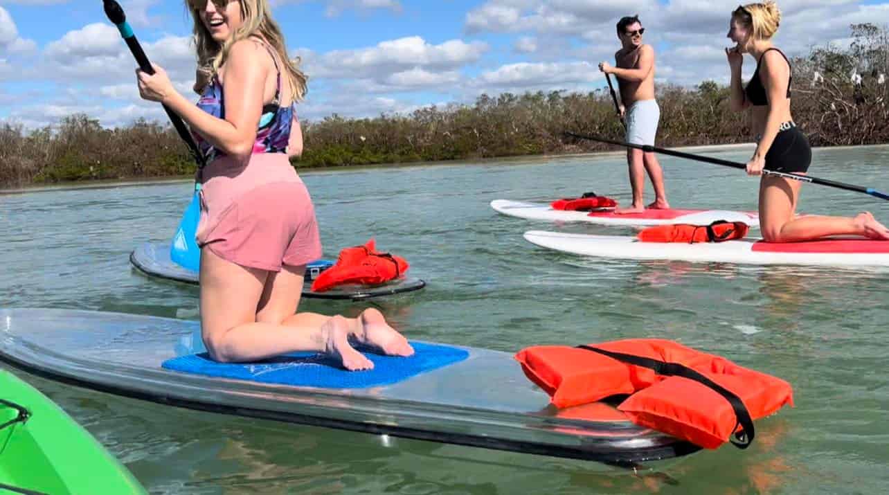 Island-Mangrove-Guided-Paddleboard-Eco-Tour