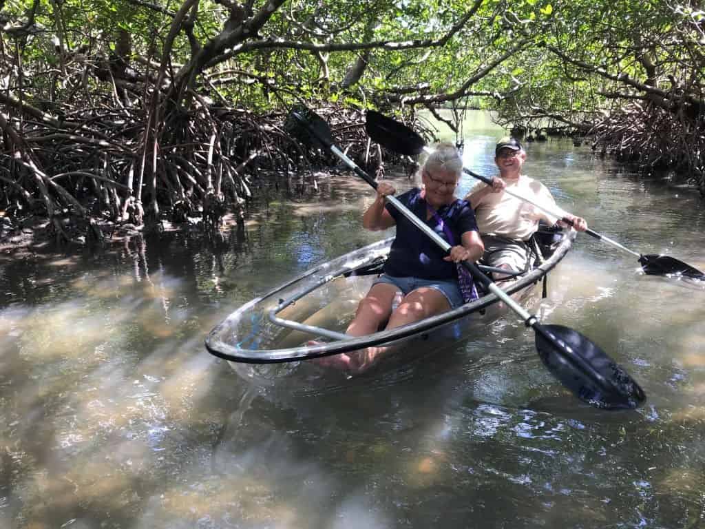 Island-Mangrove-Clear-Kayak-Tour