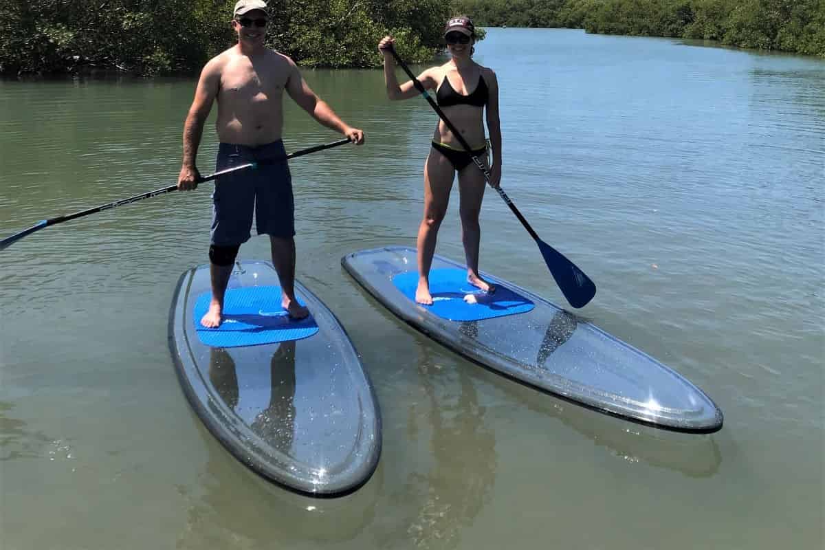Island-Mangrove-Clear-Paddleboard-Tour
