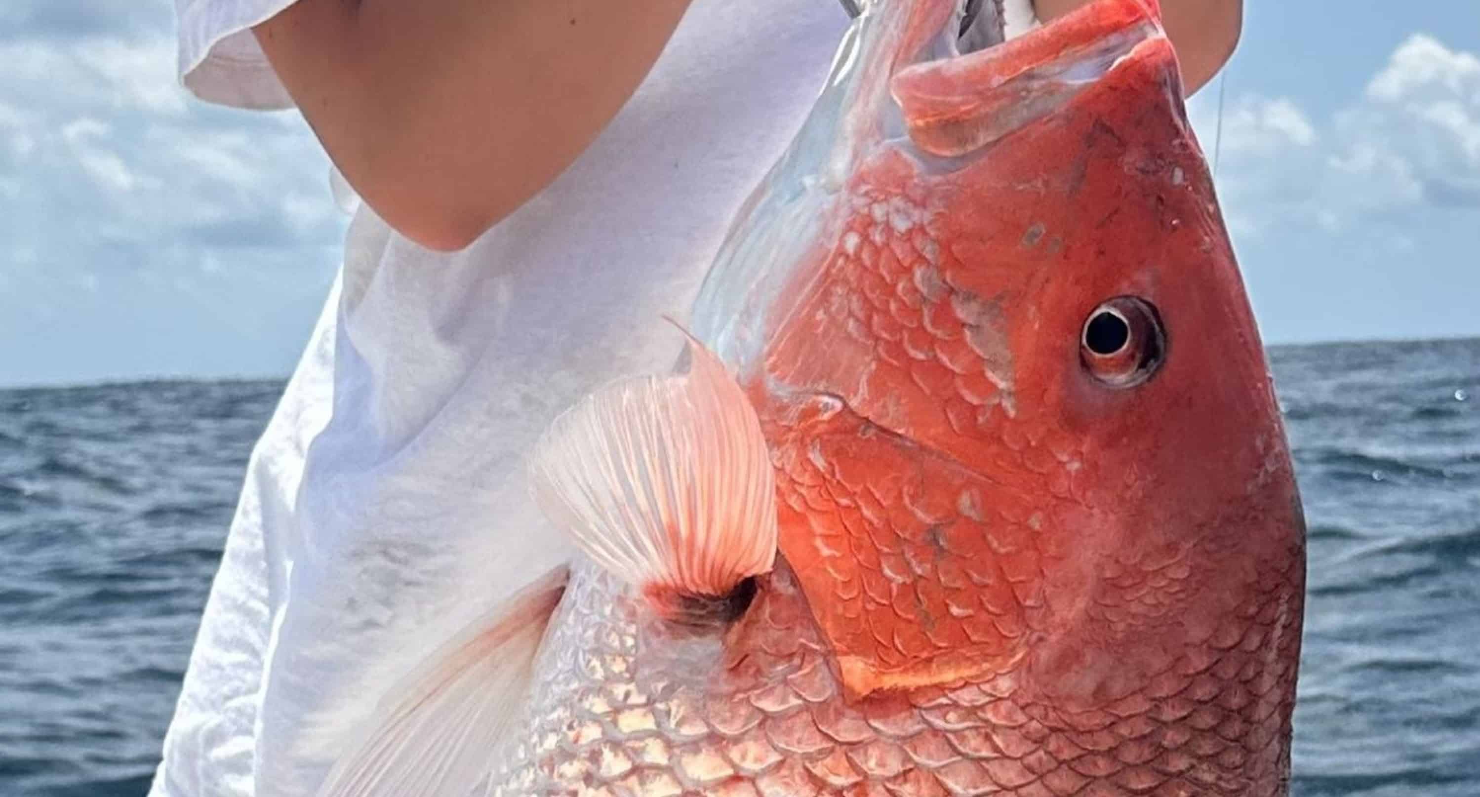 6-Hour-Group-Fishing-Charter