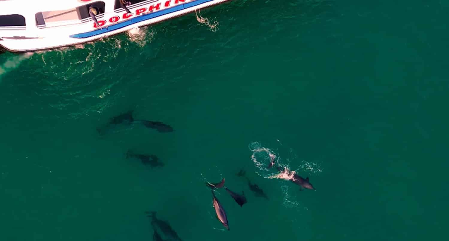 Destin-Glass-Bottom-Boat-Tour