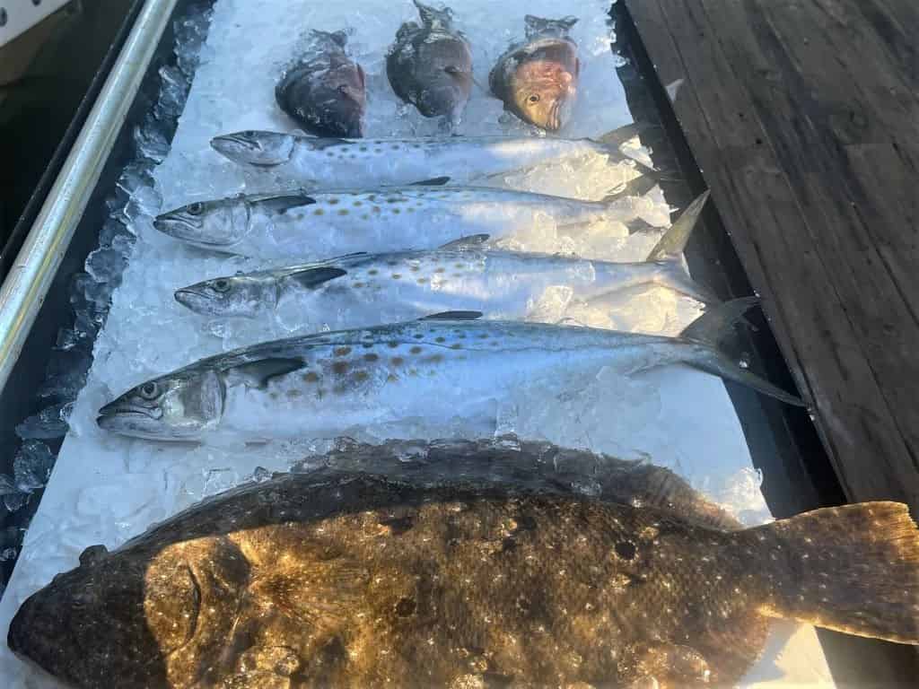 Pensacola-Inshore-Fishing-Excursion